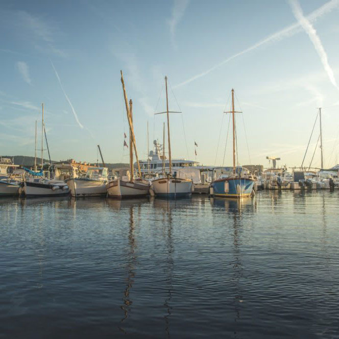 Docked yachts resting in serene waters under the sunny sky at Port Royal Marina, California Yacht Marina
