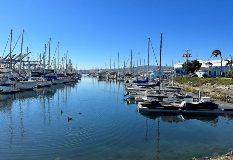 A Small sailboat parked in a Row at Port Royal Dockyard in California
